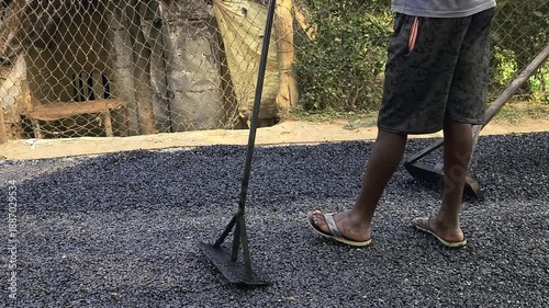 Skilled Indian workers performing asphalt road maintenance on a village road as part of infrastructure development in Odisha. Working On Tarmac Road Maintenance. Worker Leveling Fresh Asphalt on Road 