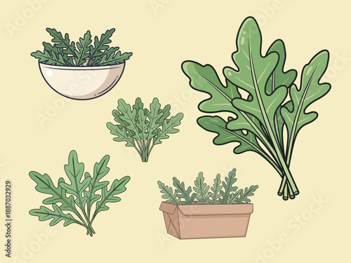 Arugula Variety: An eye-level shot showcasing an assortment of vibrant arugula arrangements, each beautifully depicted and set against a soft background