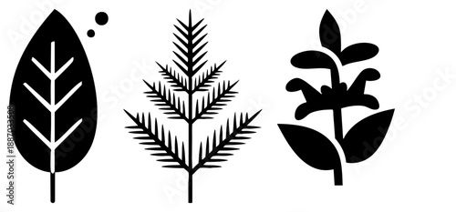 Three Abstract Botanical Featuring Leaf, Fern, and Flower Silhouettes