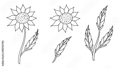 Set of detailed different flowers and branch frames editable stroke. Luxury line vintage floral collection for wedding invitation art, save the date card. Botanical vector design. Flower head decor 