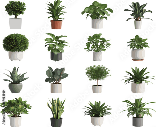 Collection of modern indoor houseplants in stylish pots, home decor greenery set, minimalist interior design, botanical plants isolated white background