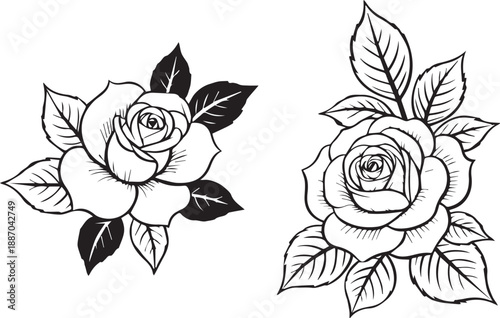 rose floral vector line art rose botanical elements
