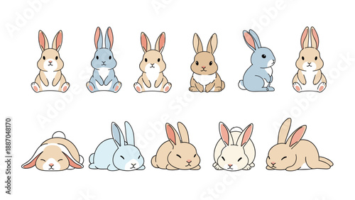 Collection of eleven cute bunnies in various poses like sitting lying down and looking back in different natural colors.