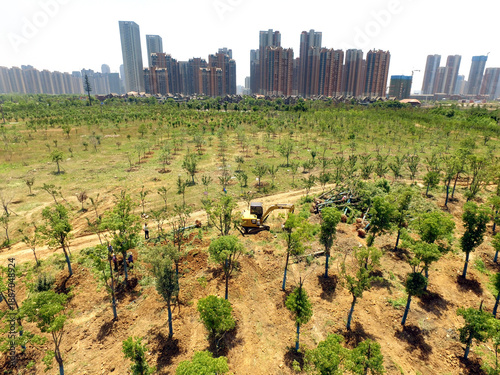Fotografía Urban Reforestation Project with City Skyline - Aerial Green Space Development