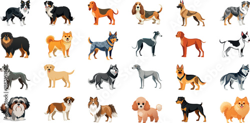 Diverse Dog Breeds Illustration Set in Colorful Cartoon Style for Education Learning and Creative Design