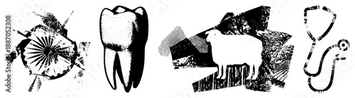 Dental Tools, Tooth, Sheep, and Stethoscope in Grunge Vector