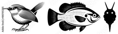 Stylized Bird, Fish, and Crab Set in Bold Black Art
