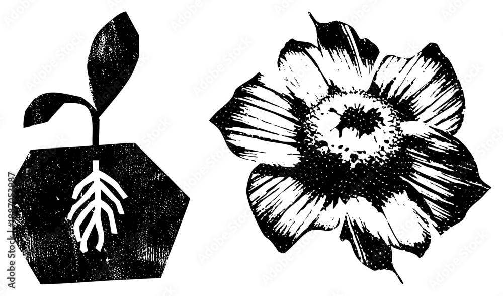 Fototapeta premium Black and White Vintage Plant and Flower Vector Illustrations