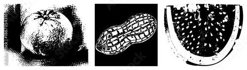 Halftone Rendered Orange, Peanut, and Watermelon Slice in Vector Style