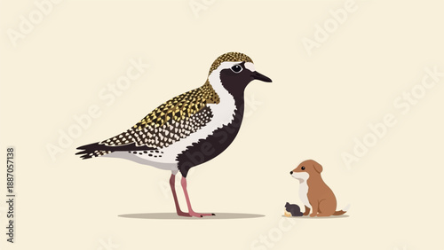 A bird stands over a small dog and its toy