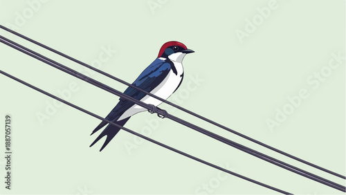 A bird with a red head and blue back perched on wires