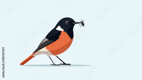 A bird with an orange breast and black wings holds a spider in its beak