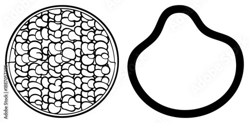Abstract Circular with Organic Bean Like Shapes and Hollow Form