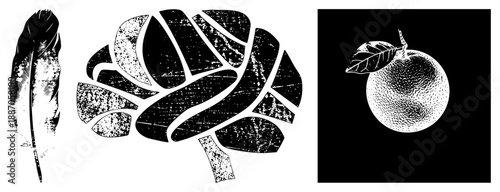 Vintage Halftone Feather, Brain, and Orange Vector Set