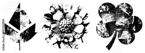 Vintage Grunge Leaf, Flower, and Clover Symbols in Black and White