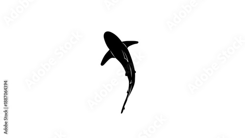 A minimalist black silhouette of a shark on a white background