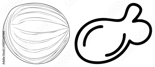 Abstract Organic Shapes with Curved and Stylized Forms