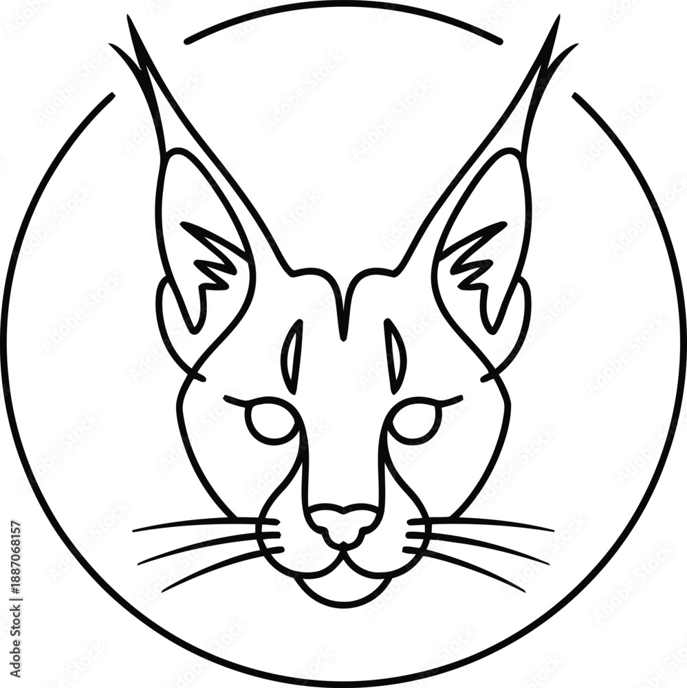 Fototapeta premium Black and white cat face inside a circle