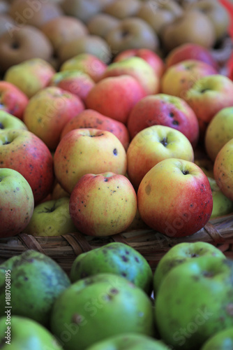 Photos manzana variedad de clase a la venta en el mercado rural país vasco 4M0A1324-as2