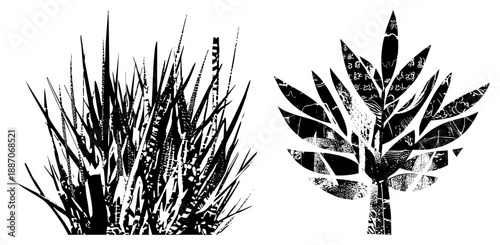 Stylized Black and White Plant Silhouettes with Textured Leaf