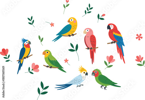 Colorful tropical birds illustration set with parrots and floral elements, cute cartoon style wildlife collection for kids design, nature decor and spring themes vector