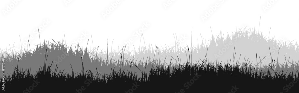 Fototapeta premium Meadow silhouette with grass, plants on plain. Panoramic summer lawn landscape with herbs, various weeds. Herbal border, frame element. Black horizontal banners. Vector illustration