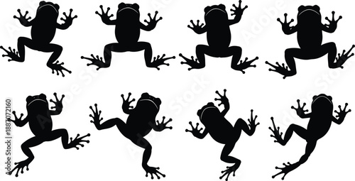 Frog Silhouette Set Showing Amphibian Jumping and Climbing Poses Isolated on White Background for Wildlife and Nature Design