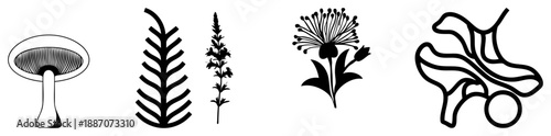 Four Botanical & Abstract Vector in Black Art