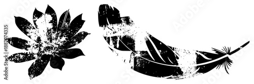 Stylized Black and White Flower and Feather Vector Silhouettes with Grunge Texture