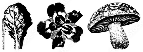 Botanical Vector Illustrations of Leaf, Flower, and Mushroom in Halftone Style
