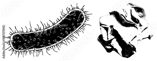 Microscopic Bacterial Cell and Crumpled Paper Texture Vector Illustration