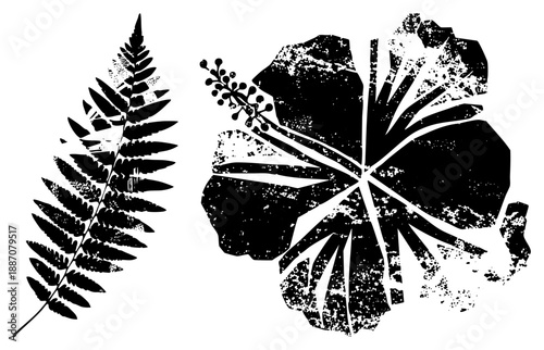 Stylized Fern Leaf and Hibiscus Flower Silhouettes with Grunge Texture
