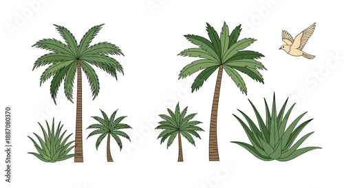 A beautiful, hand-drawn set of tropical palm trees, aloe plants, and a flying dove, in a detailed, engraved illustration style.