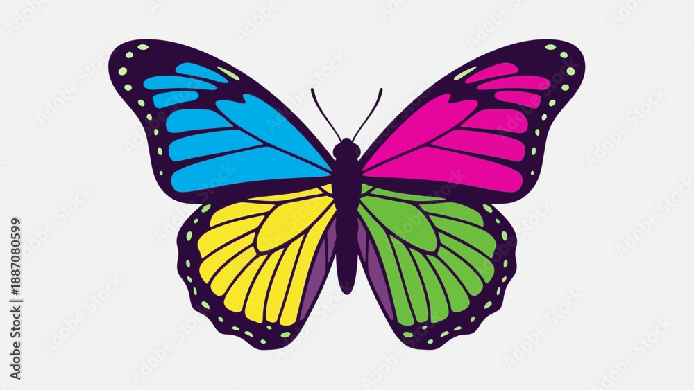 Fototapeta premium Colorful Butterfly Illustration - Vector Art
