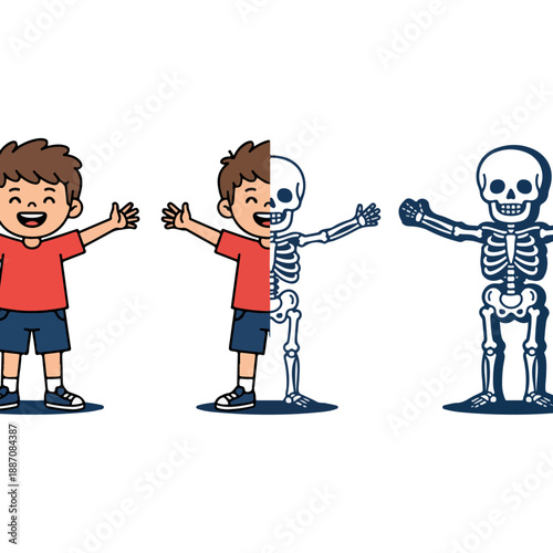 Cuadro en lienzo Boy with visible skeleton showing human anatomy.