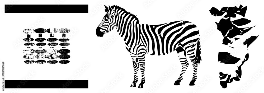 Fototapeta premium Zebra Silhouette with African Continent Map and Vintage Fish