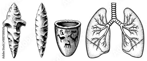 Ancient Arrowhead, Decorated Pot, and Human Lungs Anatomical Illustration