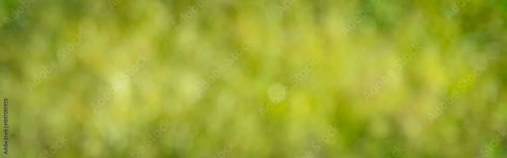 Obraz premium Abstract light green texture with blurred pattern and bokeh. Horizontal fresh spring and easter background.