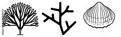 Three Marine Life Silhouettes Tree, Branch, and Scallop