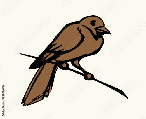 Vector drawing. Tit on white sky backdrop.