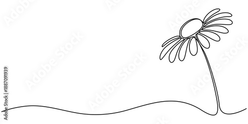 Daisy or gerbera flower on a stem in continuous one line art style. Plant sketch with editable black stroke on white background. Vector illustration.