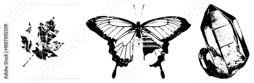 Stylized Black and White Leaf, Butterfly, and Crystal Vector Set