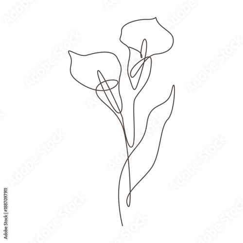 Canvastavla Aesthetic Continuous Line Drawing of Two Calla Lily Flowers
