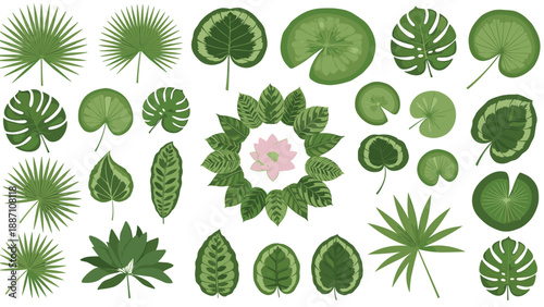 Detailed collection of diverse green tropical leaves and a central pink lotus blossom on a clean white background.