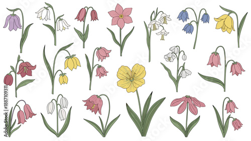 Extensive collection of various bell shaped wild flowers in different colors with green stems and leaves for floral designs.