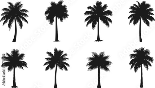 Diverse Tropical Palm Tree Silhouettes Vector Set on White Background