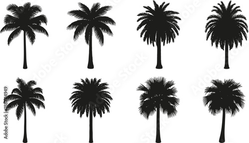 Diverse Tropical Palm Tree Silhouettes Set on a Clean White Background
