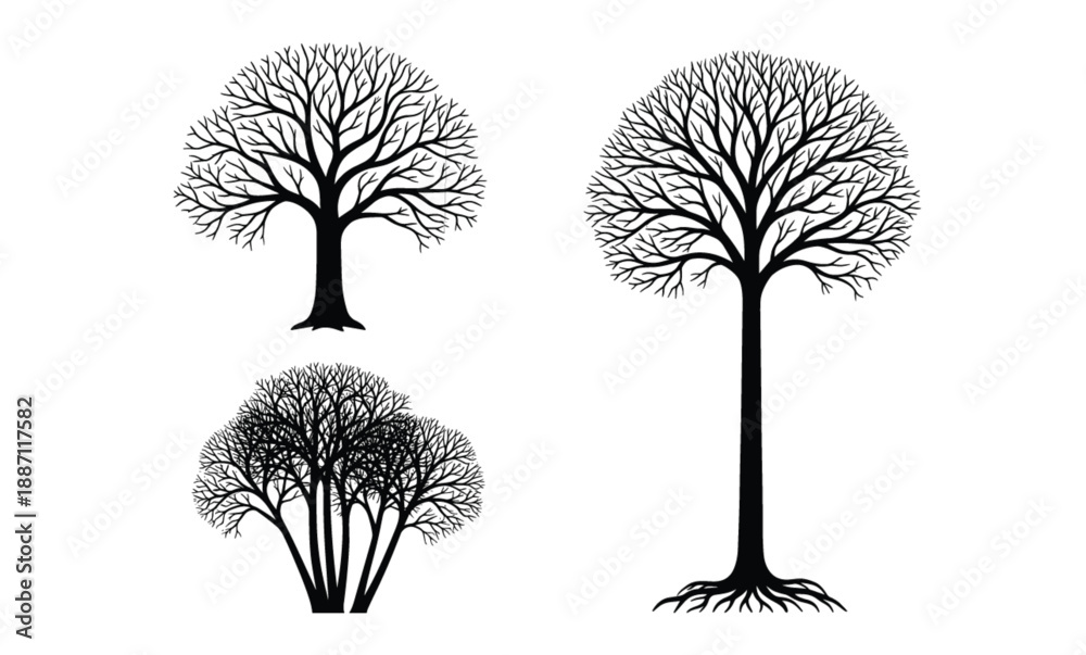 Fototapeta premium Black tree silhouette collection, leafless winter trees, bare branches illustration, nature vector set, isolated forest shapes, minimal botanical design