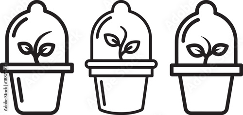 Seedlings growing in pots with cloches