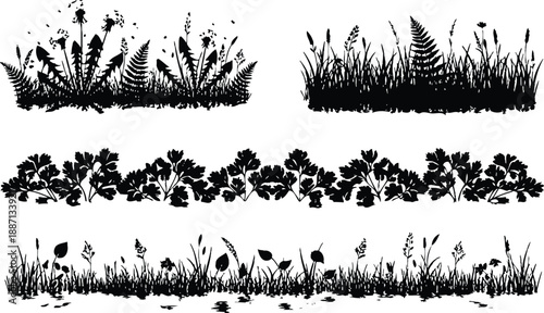 Elegant black silhouettes of grasses and flowers by serene water